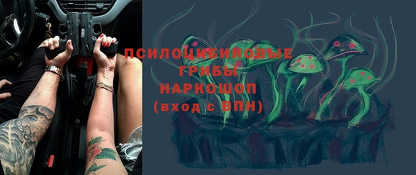 эйфоретик Аркадак