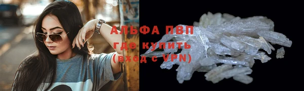 эйфоретик Аркадак