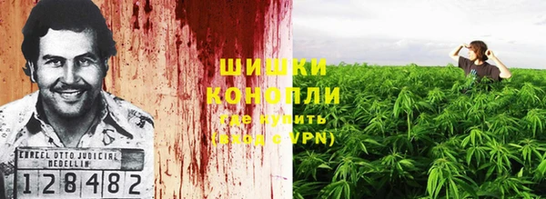 спайс Арсеньев