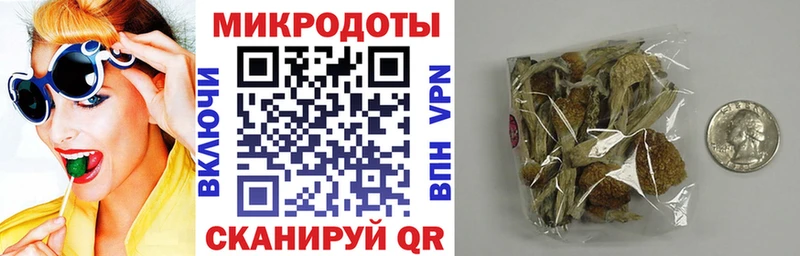 маркетплейс как зайти  где продают наркотики  Старая Русса  Галлюциногенные грибы прущие грибы 