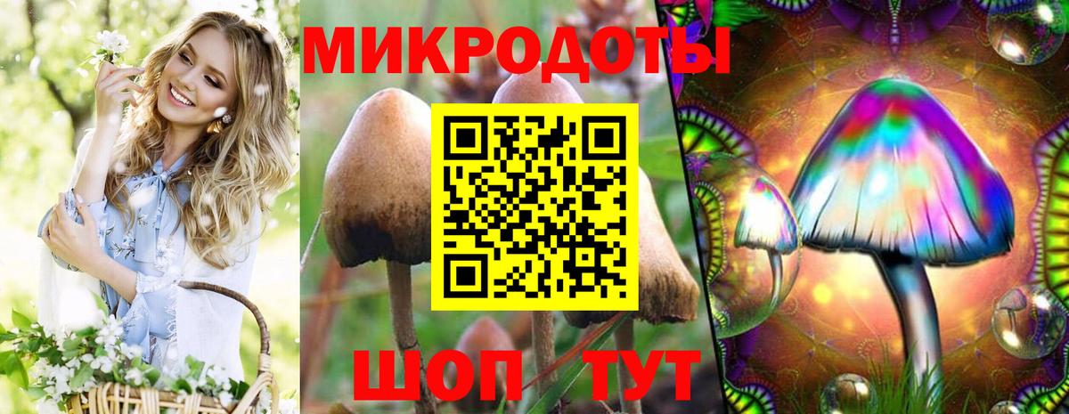 Старая Русса  Галлюциногенные грибы ЛСД  Вход с VPN  Галлюциногенные грибы Psilocybine cubensis 