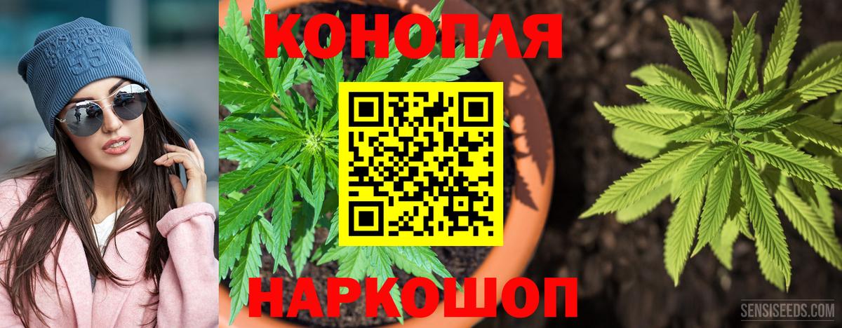 Каннабис VHQ  МАРИХУАНА конопля  Бошки Шишки планчик  Старая Русса  Вход с VPN 